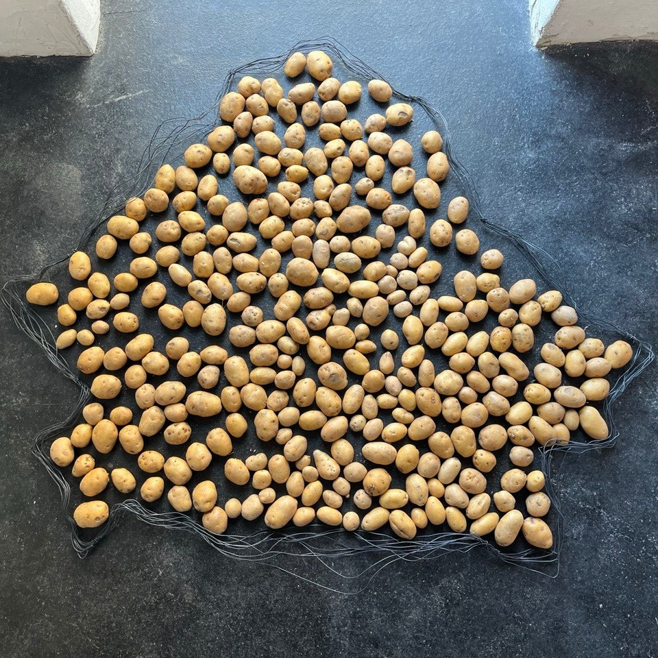 Portada de musica para Solanum Identity